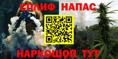 прущие грибы Славянск-на-Кубани